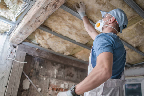 Best Residential Insulation in Torrington, WY