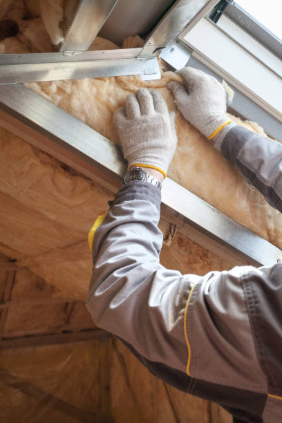 Best Insulation Maintenance and Repair in Torrington, WY