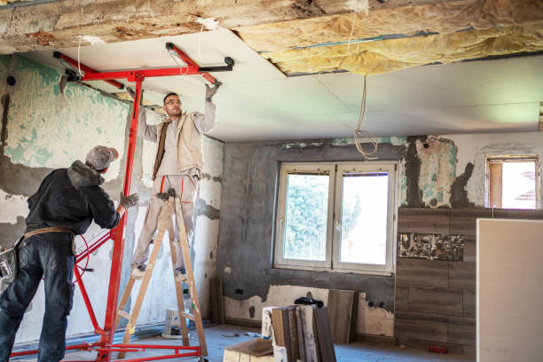 Best Insulation Maintenance and Repair in Torrington, WY